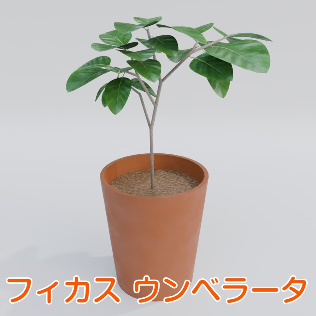 商品画像 2