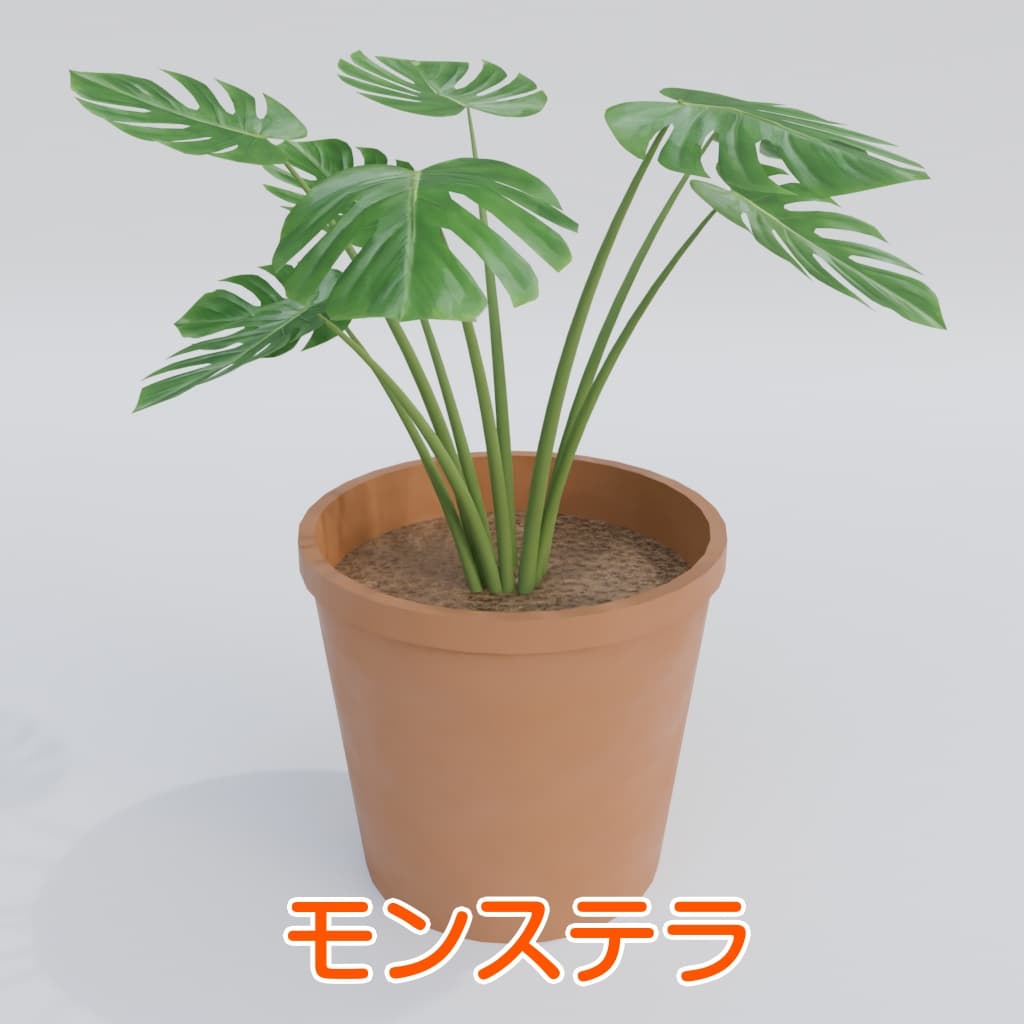 商品画像 10