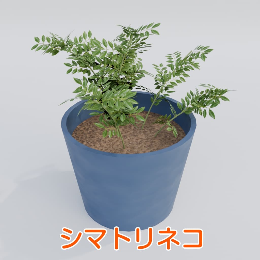 商品画像 8