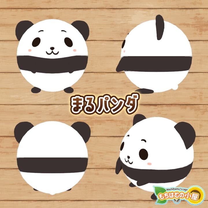 商品画像 3