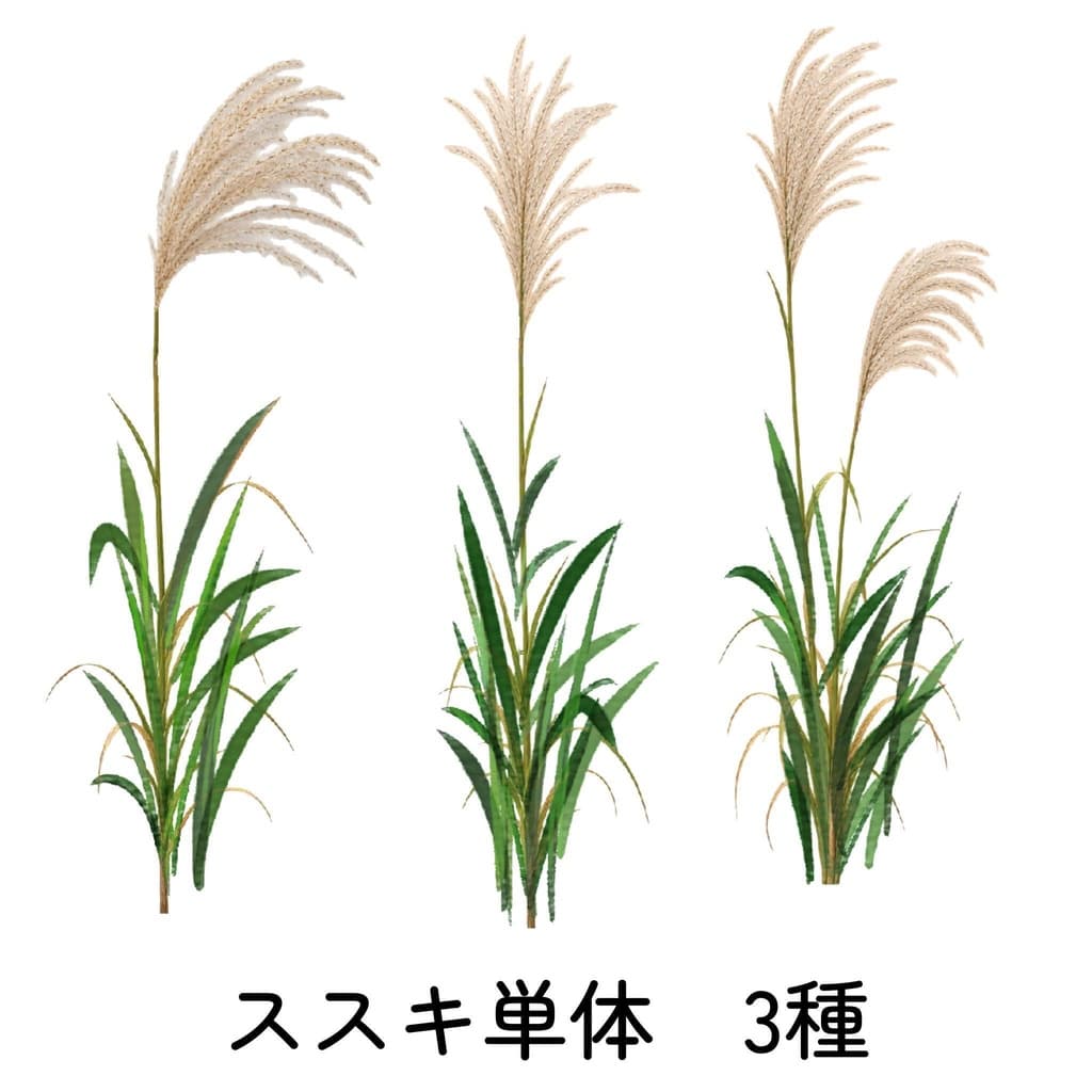 商品画像 2