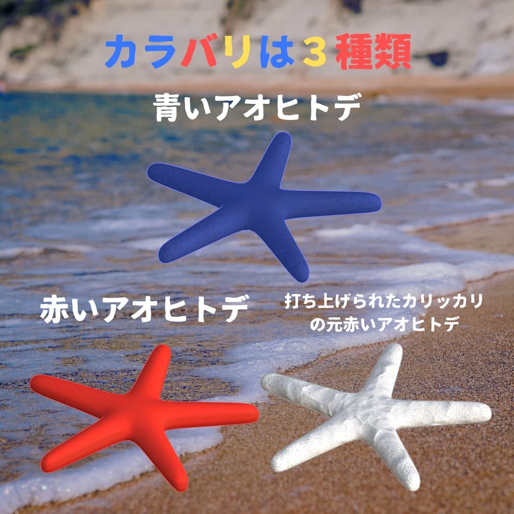 商品画像 2