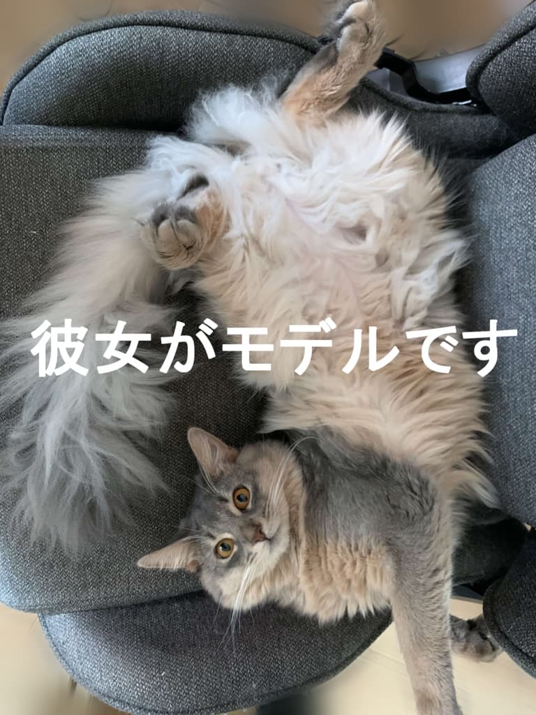商品画像 5