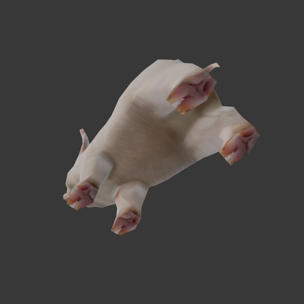 商品画像 5