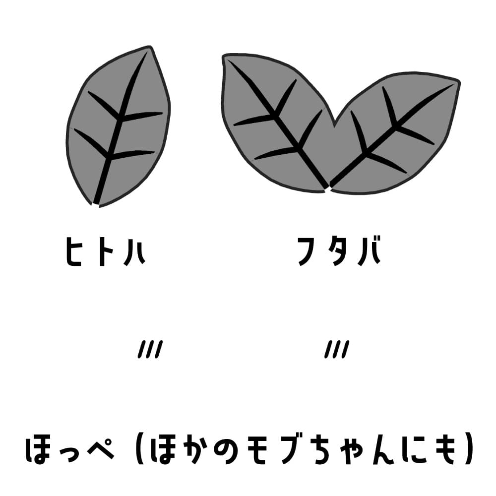 商品画像 2