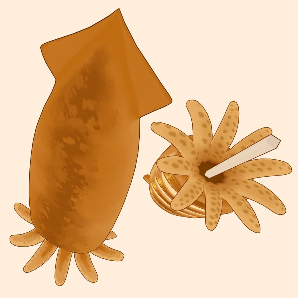 商品画像 4