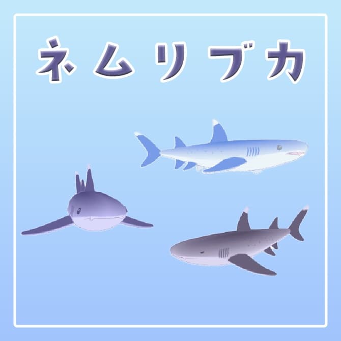商品画像 1