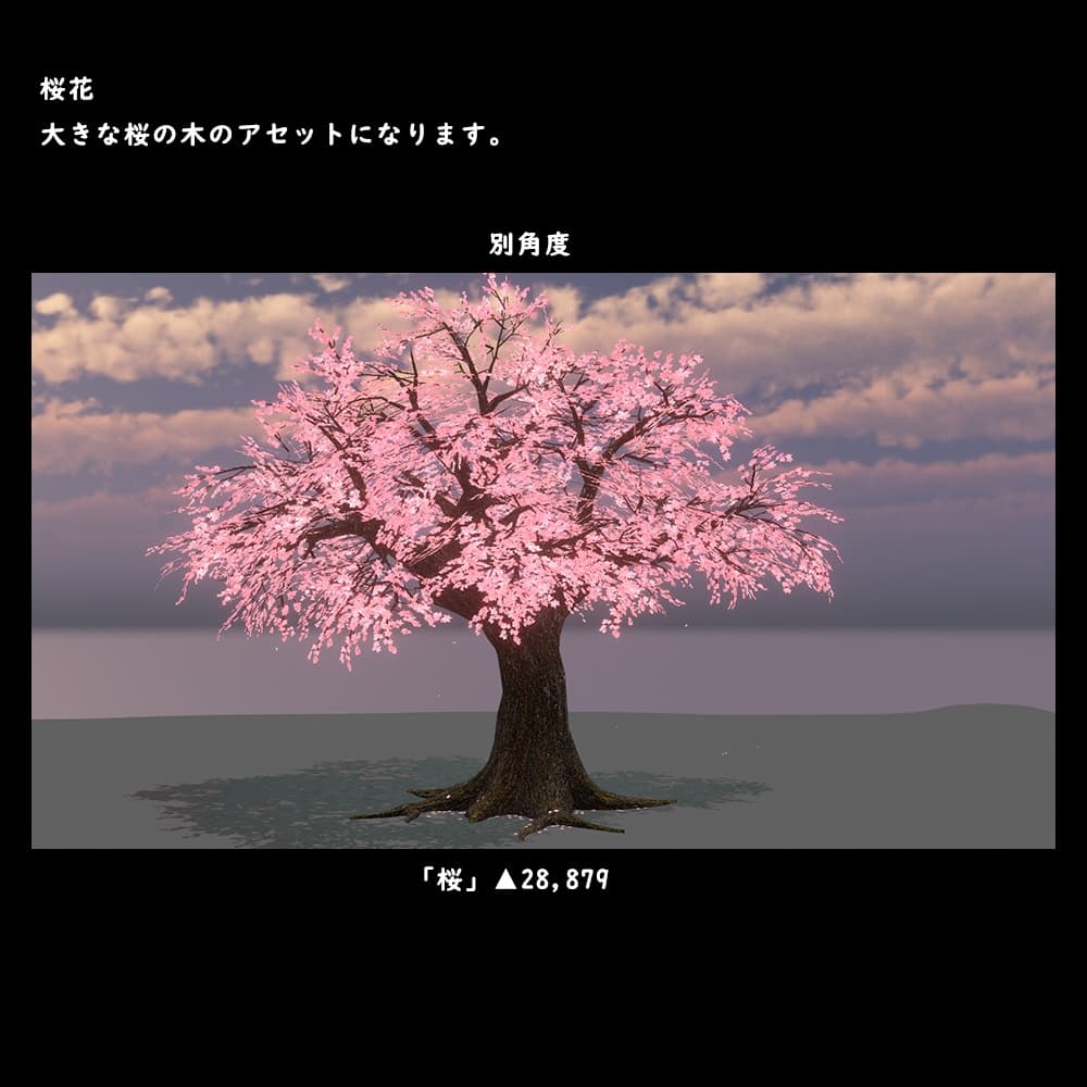 商品画像 5
